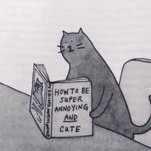 Meet your Posher, Gale